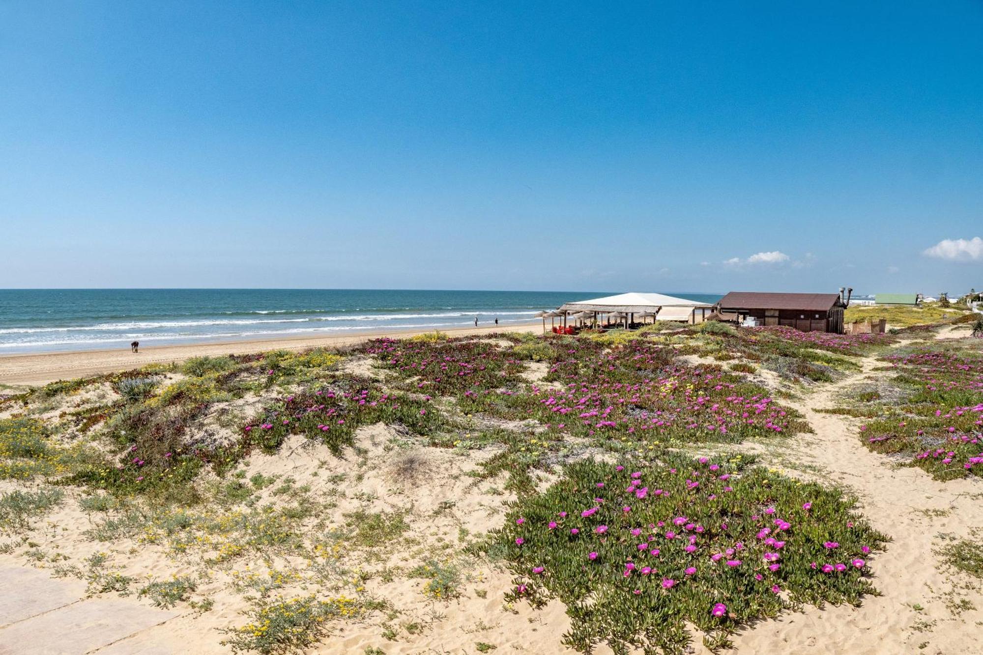 Precioso Chalet A Pie De Playa 蓬塔翁布里亚 外观 照片